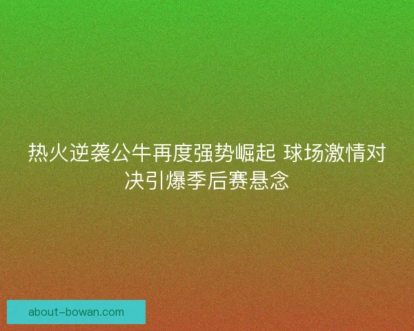 热火逆袭公牛再度强势崛起 球场激情对决引爆季后赛悬念